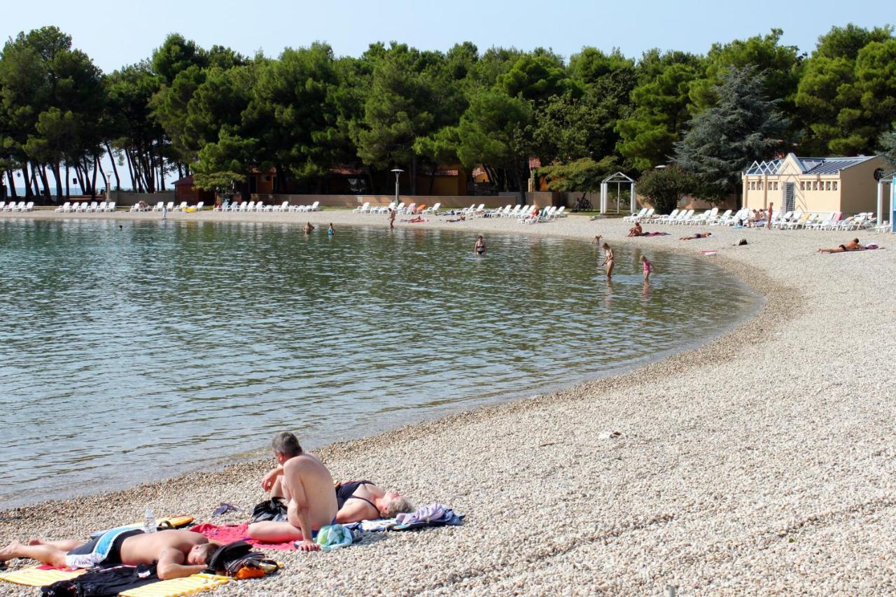 Apartment Family Friendly With A Swimming Pool Fratrici, - 14384