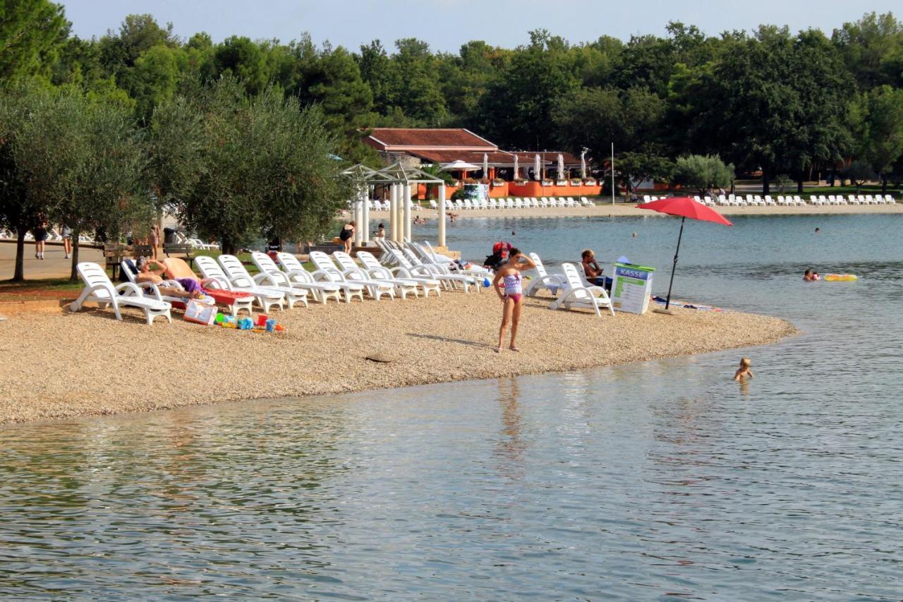 Apartment Family Friendly With A Swimming Pool Fratrici, - 14384